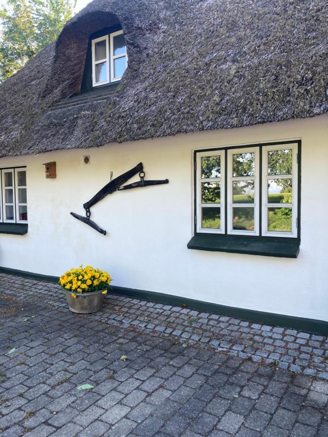 Skovlyset'S B&B Juelsminde  Exteriér fotografie