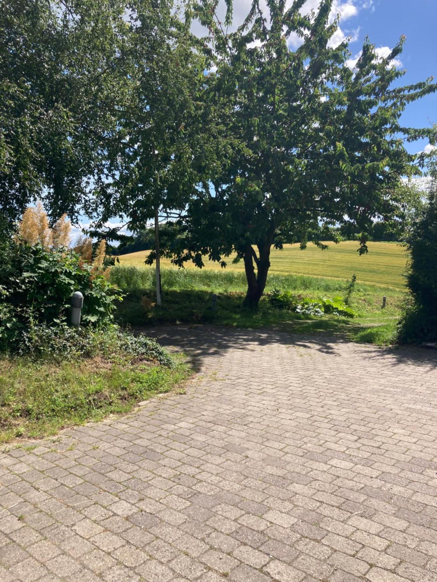 Skovlyset'S B&B Juelsminde  Exteriér fotografie