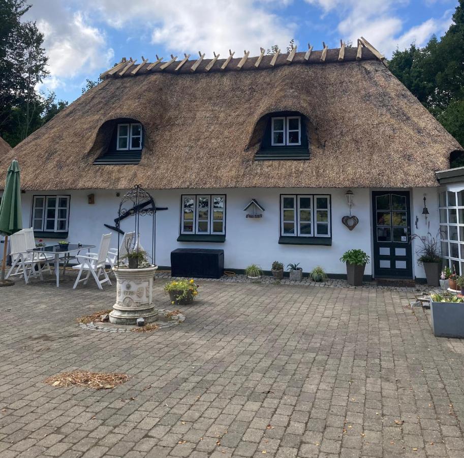 Skovlyset'S B&B Juelsminde  Exteriér fotografie